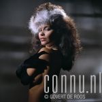 28-11-1984 Vanity in studio Amsterdam Photo: Govert de Roos/Connu

[keywords]Posed, Half Length, Eyecontact[/keywords]